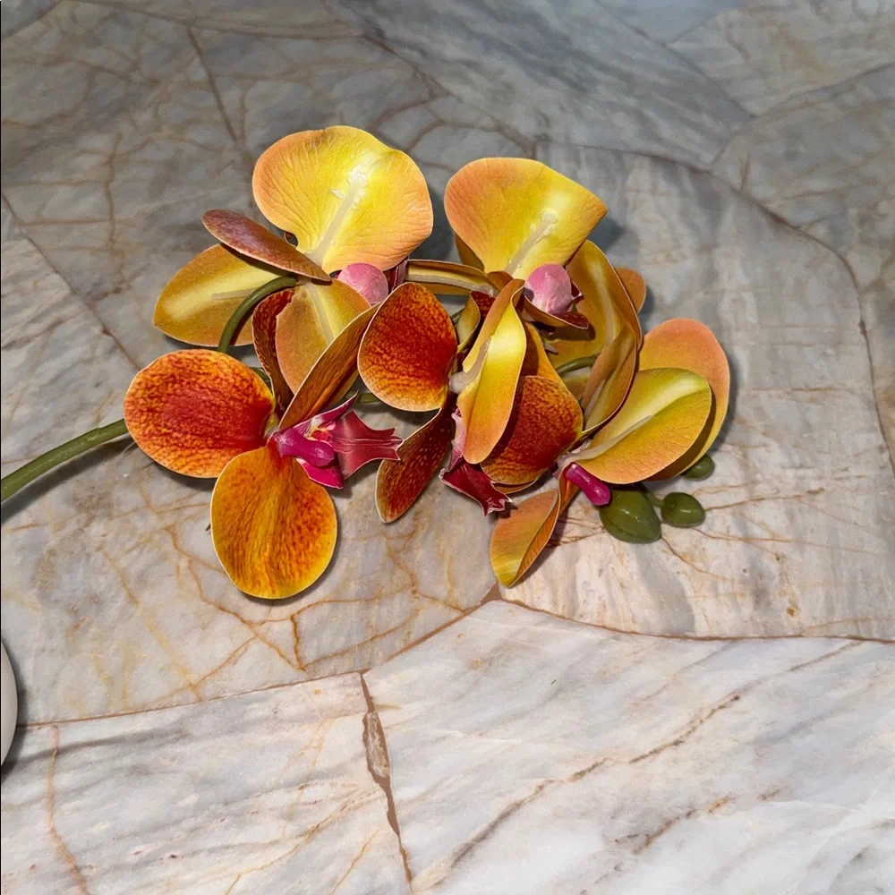 Vibrant Orange Orchid in Cream Vase‎